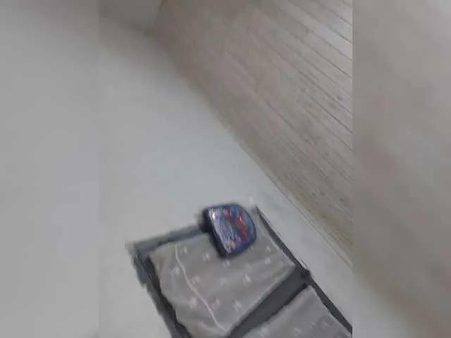 Freechat Ashley691 on BongaCams