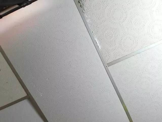 Freechat BrendaxShane on BongaCams