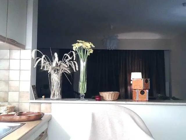 UllimOhi on BongaCams 