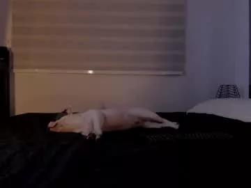 Away marstone_ on Chaturbate