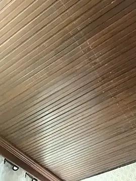 StripChat Jasmin_Pink is Freechat Jasmin_Pink — control of the exuberant for 5 minutes