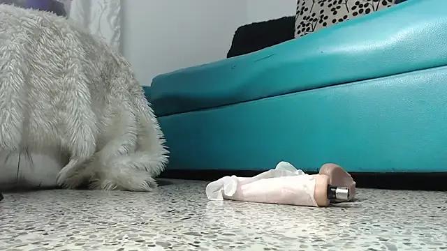 Freechat mijal_queen on StripChat