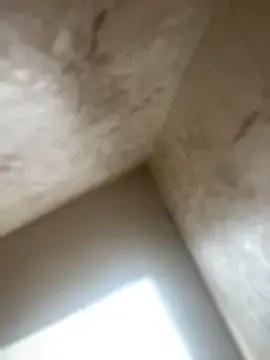 Nikki_Nyx on StripChat 