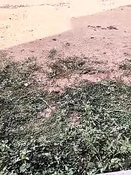 Freechat tamil202 on StripChat